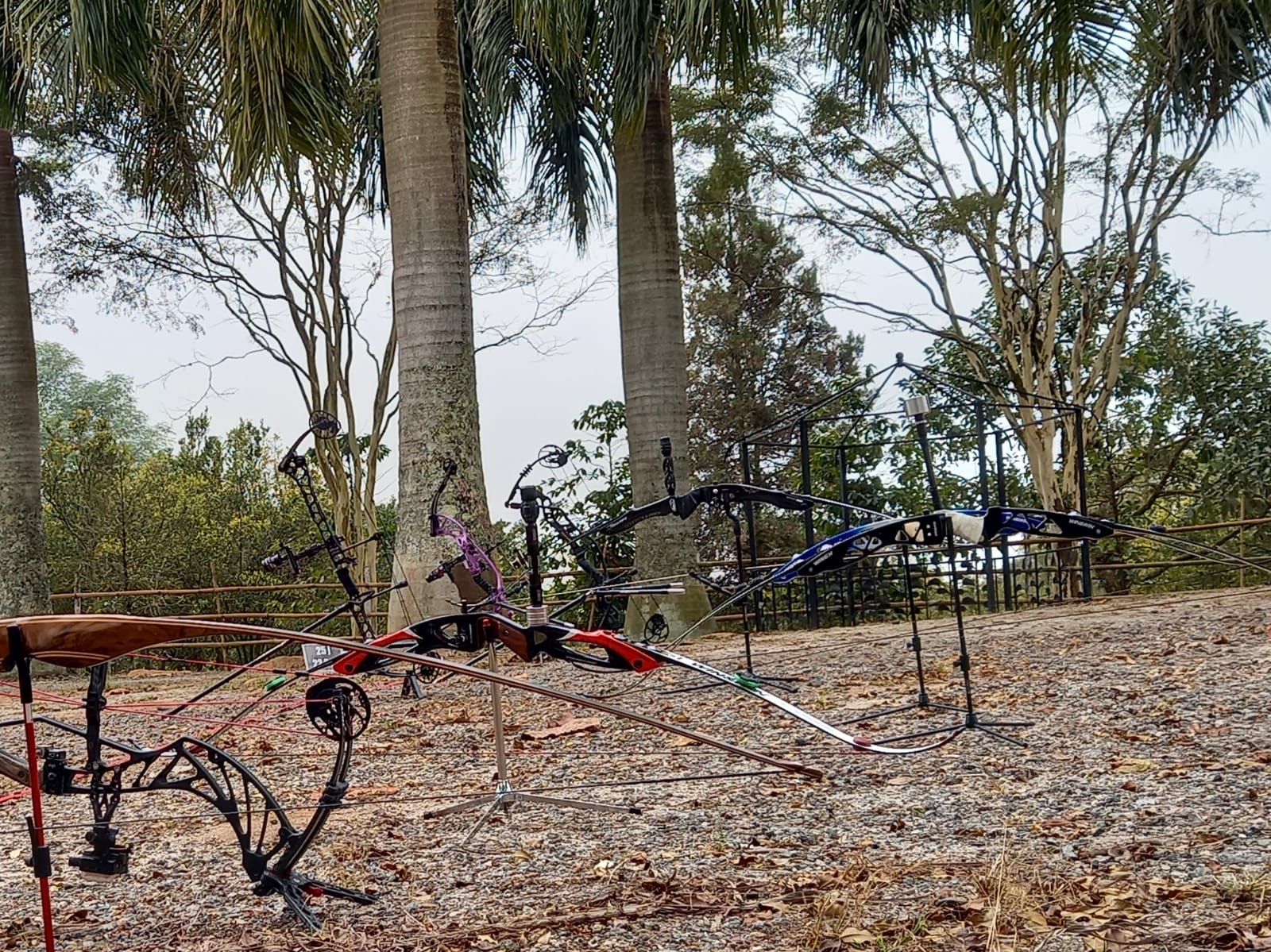 WhatsApp Image 2021-07-24 at 14.22.27.jpeg