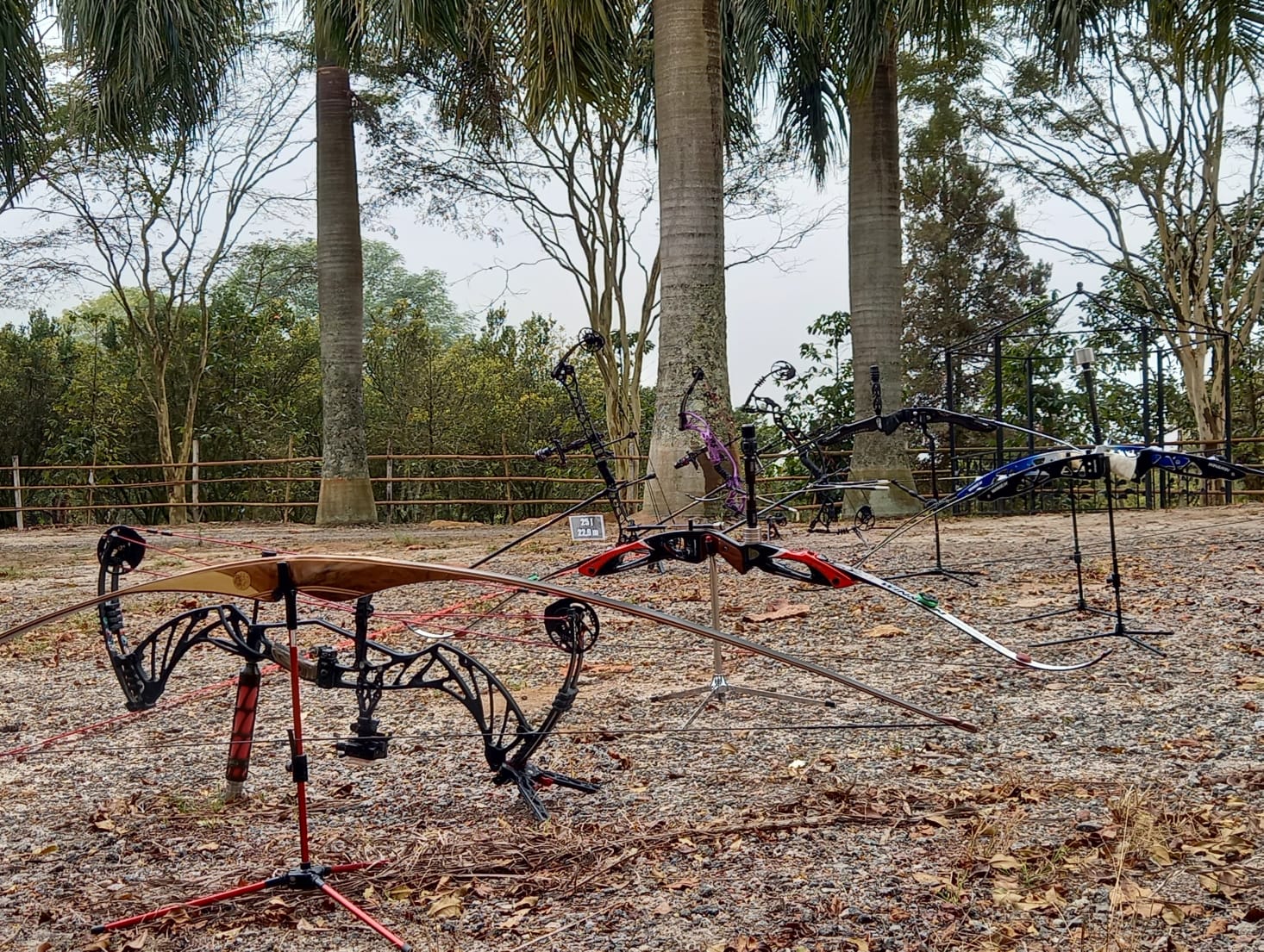 WhatsApp Image 2021-07-24 at 14.22.26 (3).jpeg